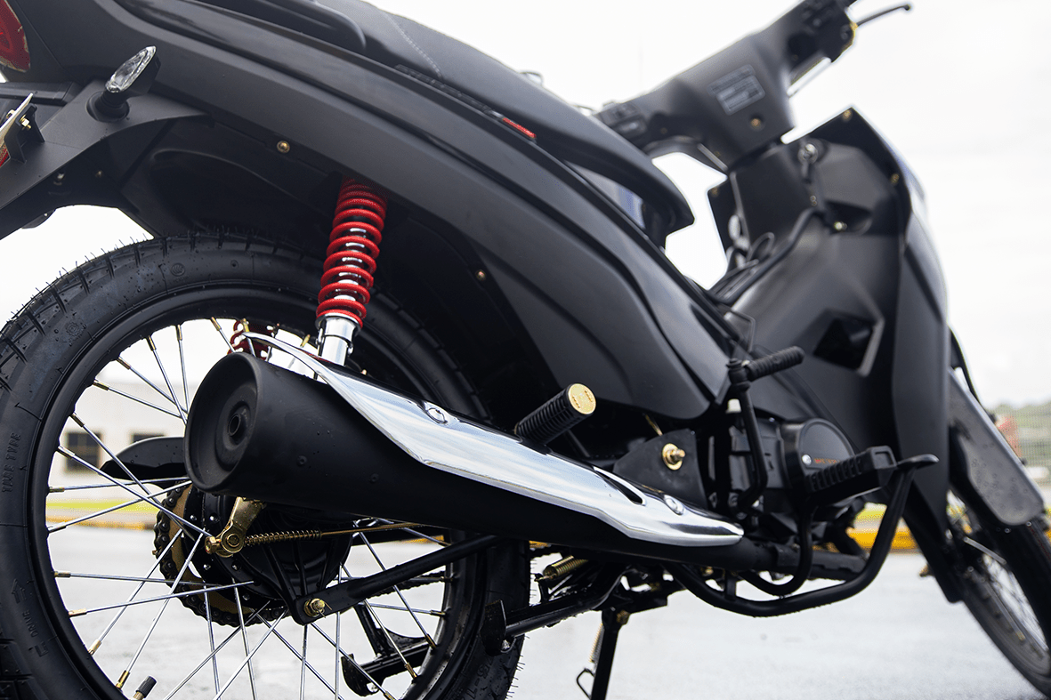 RH MOTORS - SHINERAY