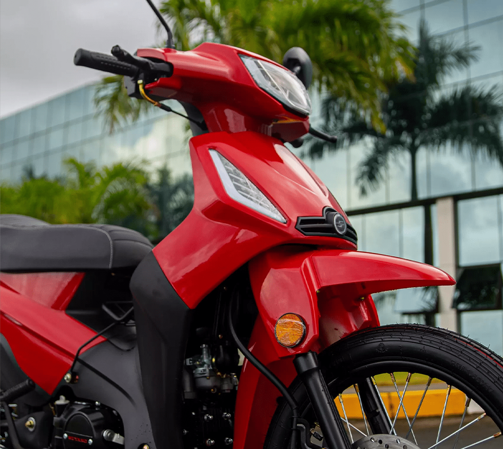 RH MOTORS - SHINERAY