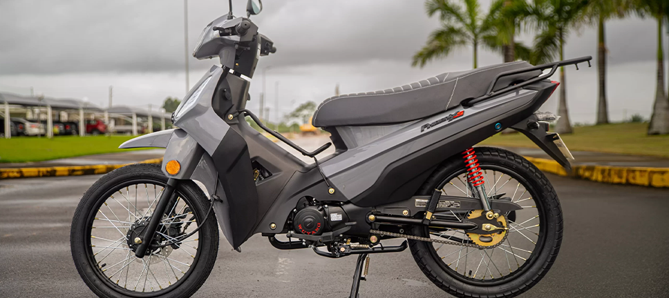 RH MOTORS - SHINERAY