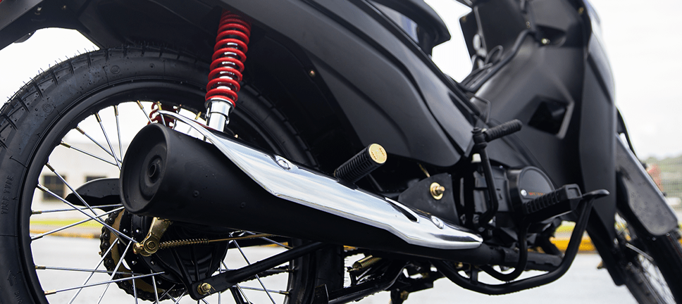 RH MOTORS - SHINERAY